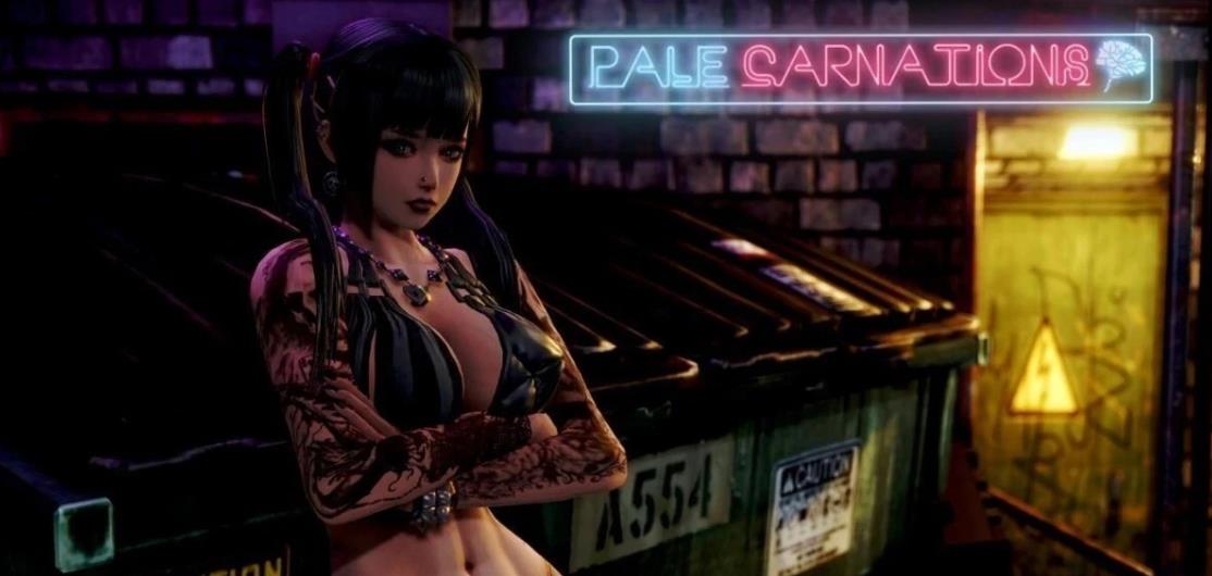 [双端] 【SD/3D/欧美SLG/汉化/动态】苍白之花康乃馨 CH4UP5 双端精翻汉化版【15G】